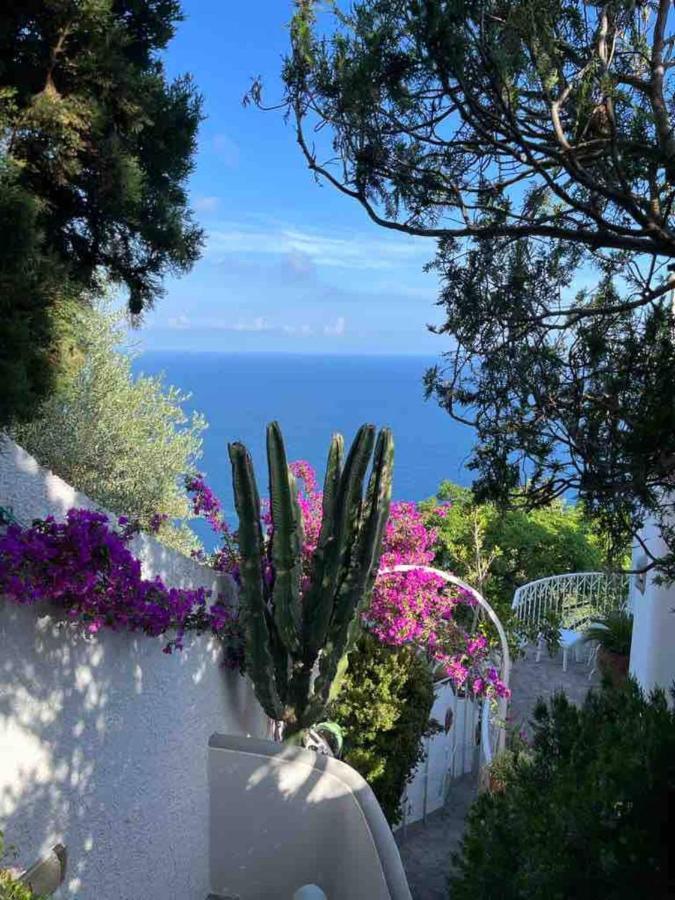 Casa Reverie - Amalfi Coast Villa Băile Herculane Dış mekan fotoğraf